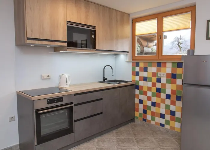 Rozic アパート ボーヒニ